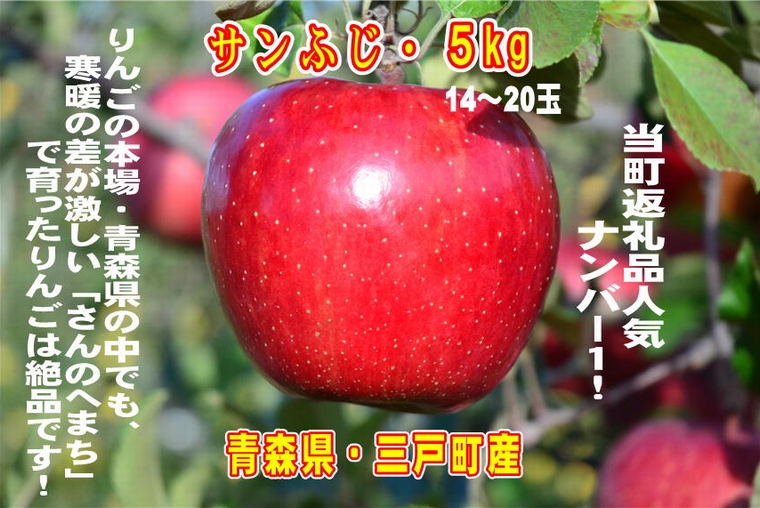 ふるさと納税！青森県三戸町のりんご「サンふじ」 14～20玉 約5kgの感想と口コミ